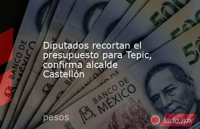 Diputados recortan el presupuesto para Tepic, confirma alcalde Castellón. Noticias en tiempo real