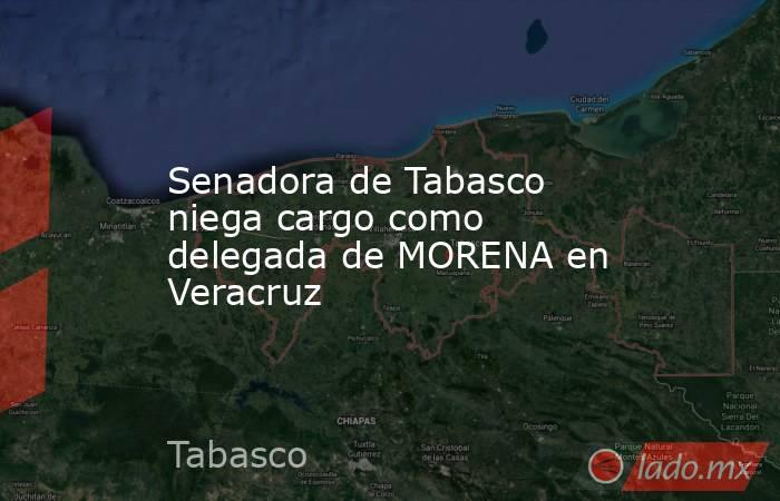 Senadora de Tabasco niega cargo como delegada de MORENA en Veracruz. Noticias en tiempo real