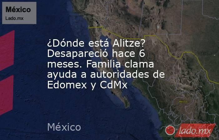 ¿Dónde está Alitze? Desapareció hace 6 meses. Familia clama ayuda a autoridades de Edomex y CdMx. Noticias en tiempo real