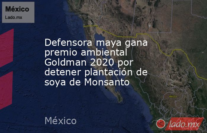 Defensora maya gana premio ambiental Goldman 2020 por detener plantación de soya de Monsanto. Noticias en tiempo real