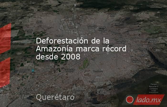 Deforestación de la Amazonía marca récord desde 2008. Noticias en tiempo real