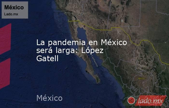 La pandemia en México será larga: López Gatell. Noticias en tiempo real
