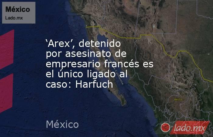 ‘Arex’, detenido por asesinato de empresario francés es el único ligado al caso: Harfuch. Noticias en tiempo real