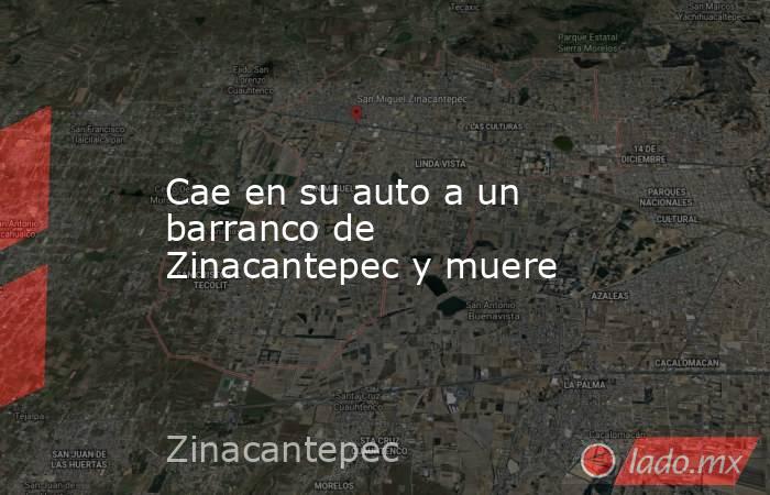 Cae en su auto a un barranco de Zinacantepec y muere. Noticias en tiempo real