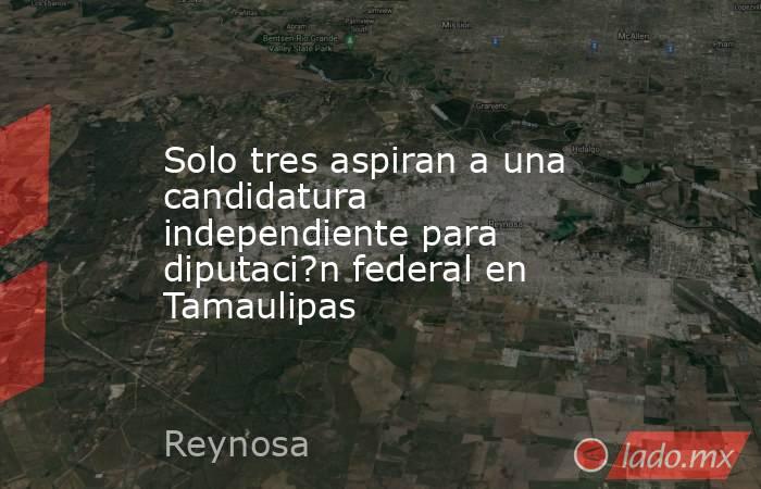 Solo tres aspiran a una candidatura independiente para diputaci?n federal en Tamaulipas. Noticias en tiempo real