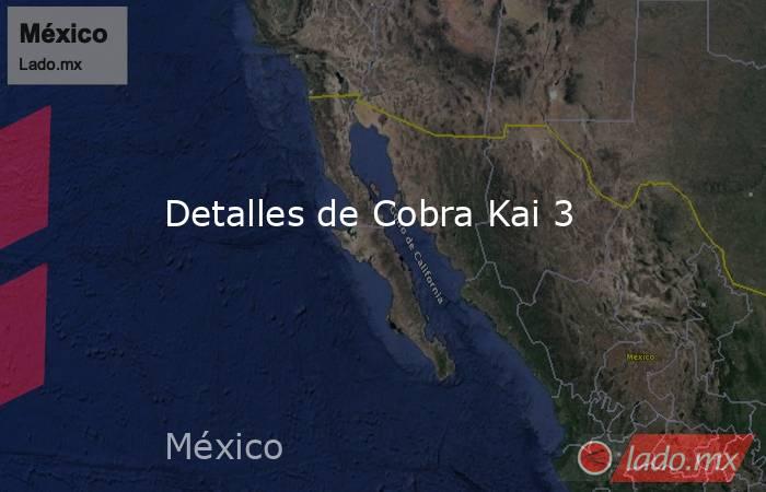 Detalles de Cobra Kai 3. Noticias en tiempo real