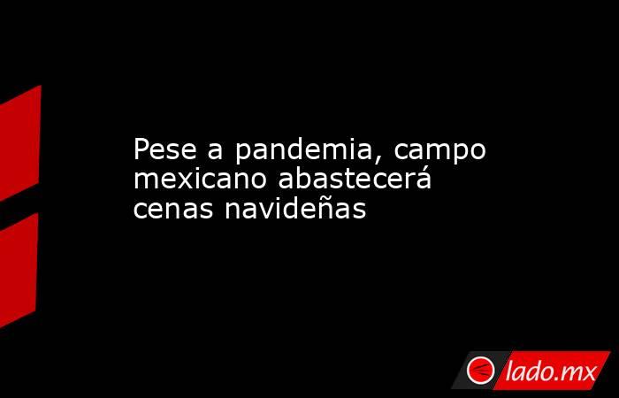 Pese a pandemia, campo mexicano abastecerá cenas navideñas. Noticias en tiempo real