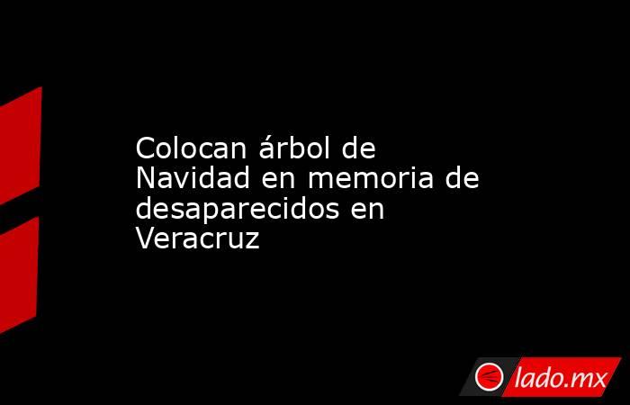 Colocan árbol de Navidad en memoria de desaparecidos en Veracruz. Noticias en tiempo real