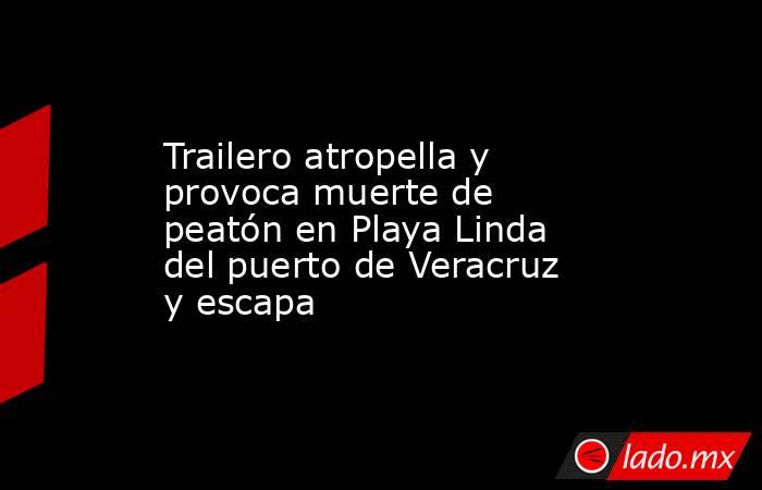 Trailero atropella y provoca muerte de peatón en Playa Linda del puerto de Veracruz y escapa. Noticias en tiempo real