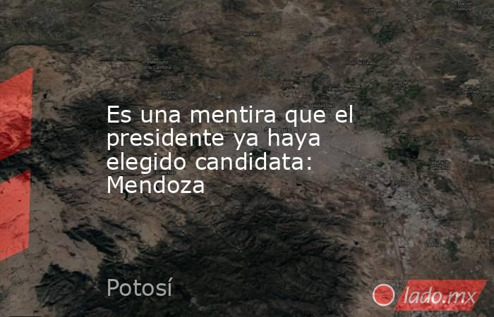 Es una mentira que el presidente ya haya elegido candidata: Mendoza. Noticias en tiempo real