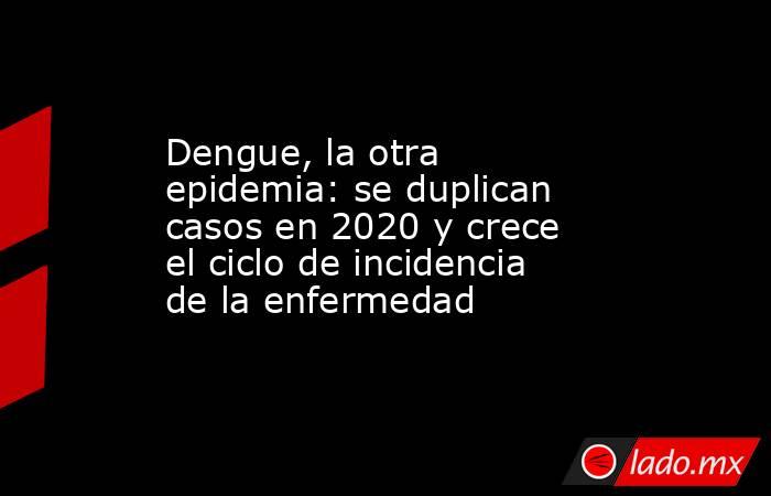 Dengue, la otra epidemia: se duplican casos en 2020 y crece el ciclo de incidencia de la enfermedad. Noticias en tiempo real