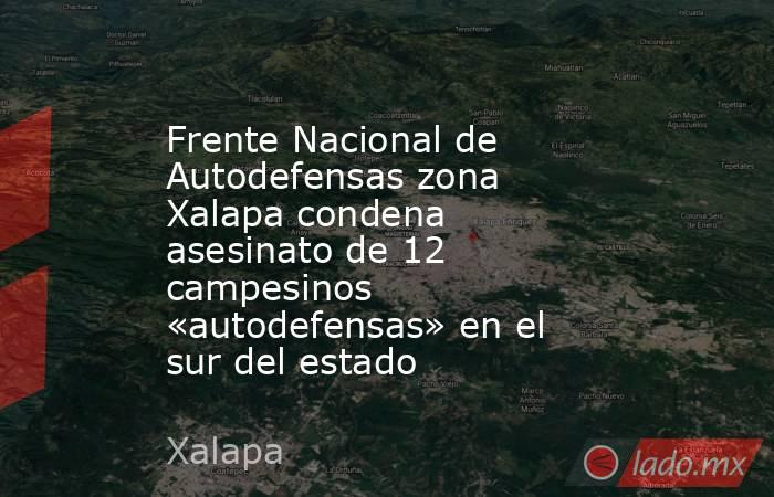 Frente Nacional de Autodefensas zona Xalapa condena asesinato de 12 campesinos «autodefensas» en el sur del estado. Noticias en tiempo real