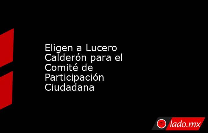 Eligen a Lucero Calderón para el Comité de Participación Ciudadana. Noticias en tiempo real