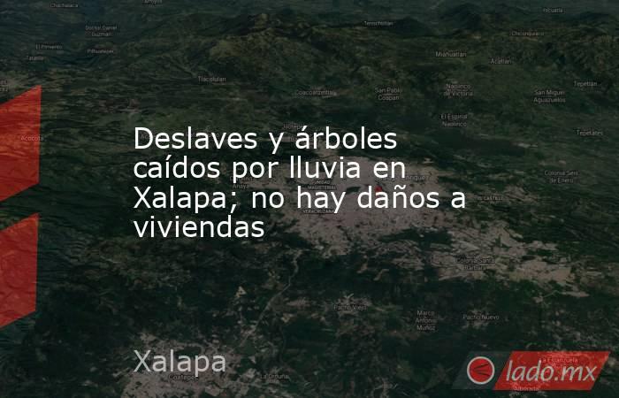 Deslaves y árboles caídos por lluvia en Xalapa; no hay daños a viviendas. Noticias en tiempo real
