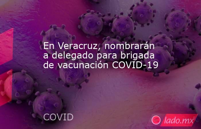 En Veracruz, nombrarán a delegado para brigada de vacunación COVID-19. Noticias en tiempo real