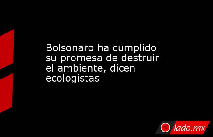 Bolsonaro ha cumplido su promesa de destruir el ambiente, dicen ecologistas. Noticias en tiempo real