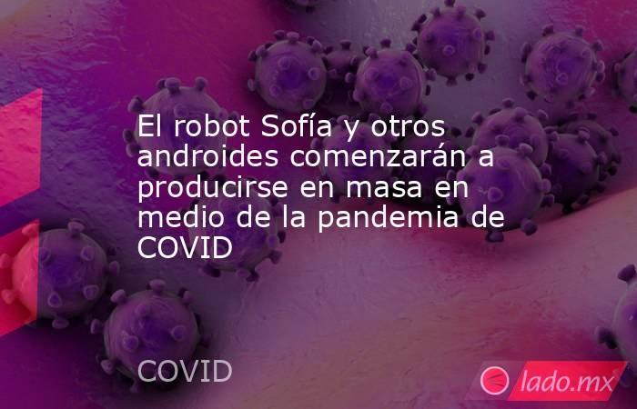 El robot Sofía y otros androides comenzarán a producirse en masa en medio de la pandemia de COVID. Noticias en tiempo real