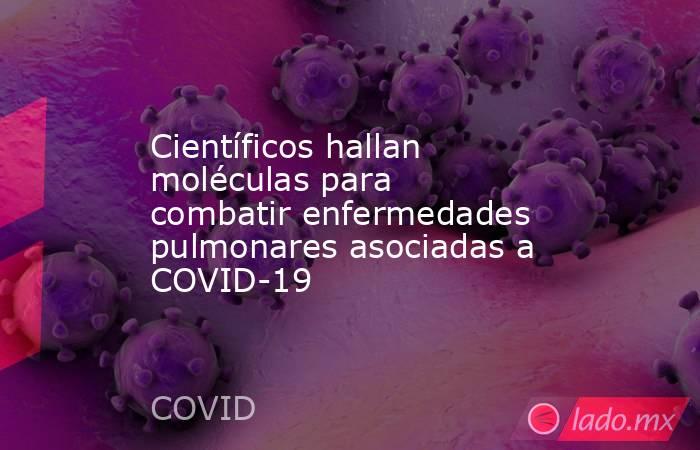 Científicos hallan moléculas para combatir enfermedades pulmonares asociadas a COVID-19. Noticias en tiempo real