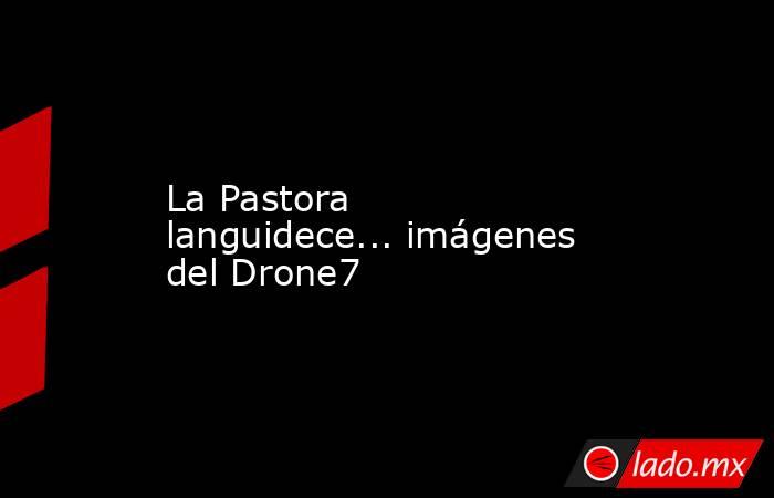 La Pastora languidece... imágenes del Drone7. Noticias en tiempo real