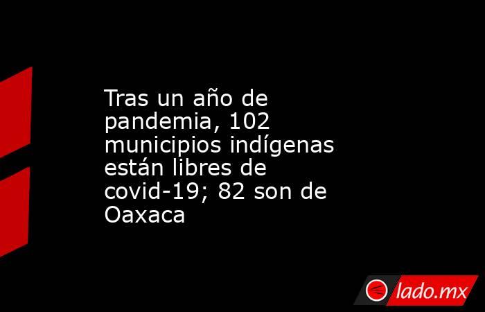 Tras un año de pandemia, 102 municipios indígenas están libres de covid-19; 82 son de Oaxaca. Noticias en tiempo real