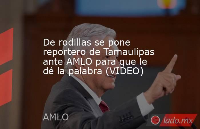 De rodillas se pone reportero de Tamaulipas ante AMLO para que le dé la palabra (VIDEO). Noticias en tiempo real