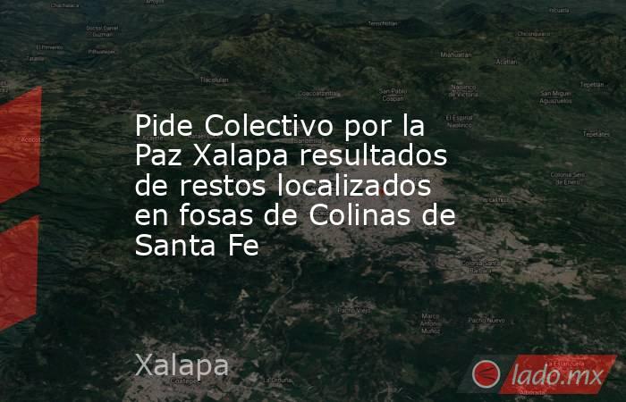 Pide Colectivo por la Paz Xalapa resultados de restos localizados en fosas de Colinas de Santa Fe. Noticias en tiempo real
