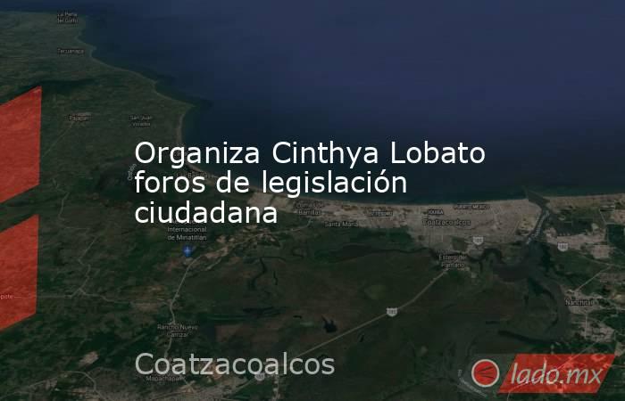 Organiza Cinthya Lobato foros de legislación ciudadana. Noticias en tiempo real