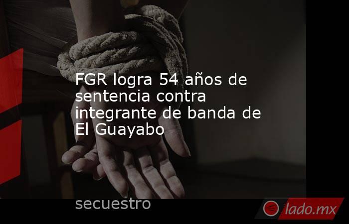FGR logra 54 años de sentencia contra integrante de banda de El Guayabo. Noticias en tiempo real
