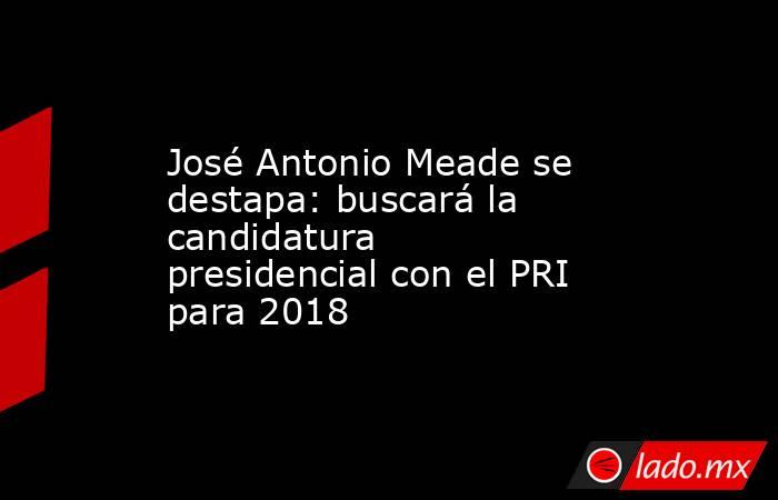 José Antonio Meade se destapa: buscará la candidatura presidencial con el PRI para 2018. Noticias en tiempo real