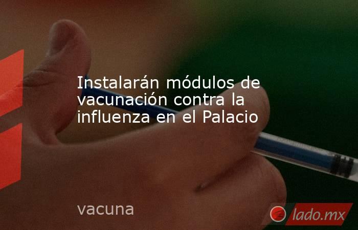 Instalarán módulos de vacunación contra la influenza en el Palacio. Noticias en tiempo real