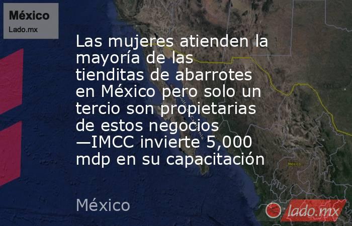 Las mujeres atienden la mayoría de las tienditas de abarrotes en México pero solo un tercio son propietarias de estos negocios —IMCC invierte 5,000 mdp en su capacitación. Noticias en tiempo real