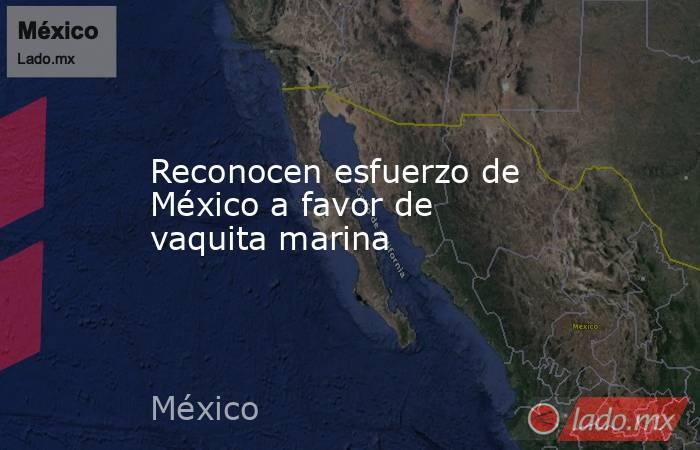 Reconocen esfuerzo de México a favor de vaquita marina. Noticias en tiempo real
