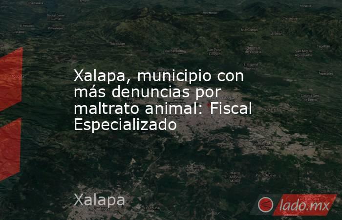 Xalapa, municipio con más denuncias por maltrato animal: Fiscal Especializado. Noticias en tiempo real