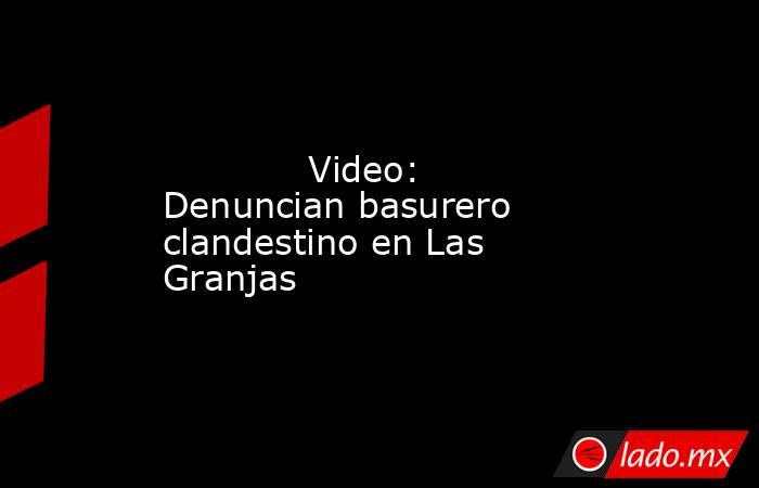             Video: Denuncian basurero clandestino en Las Granjas            . Noticias en tiempo real