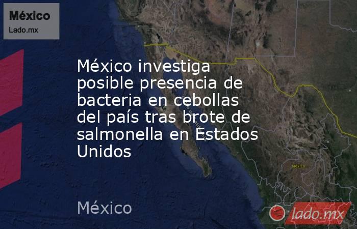 México investiga posible presencia de bacteria en cebollas del país tras brote de salmonella en Estados Unidos. Noticias en tiempo real