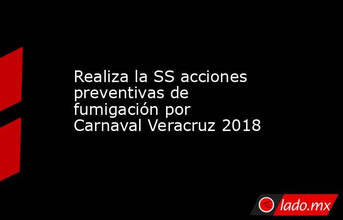 Realiza la SS acciones preventivas de fumigación por Carnaval Veracruz 2018. Noticias en tiempo real