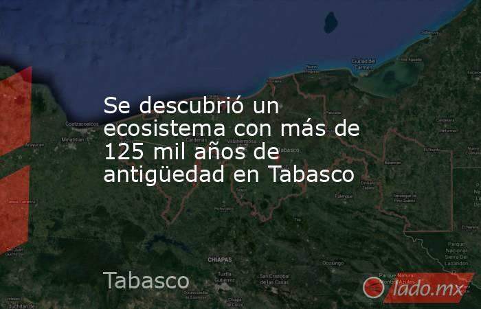 Se descubrió un ecosistema con más de 125 mil años de antigüedad en Tabasco. Noticias en tiempo real