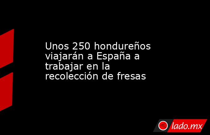 Unos 250 hondureños viajarán a España a trabajar en la recolección de fresas. Noticias en tiempo real