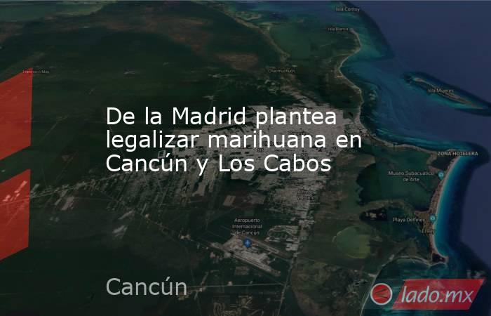 De la Madrid plantea legalizar marihuana en Cancún y Los Cabos. Noticias en tiempo real