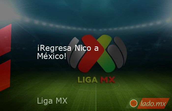 ¡Regresa Nico a México!. Noticias en tiempo real