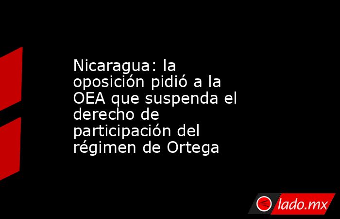 Nicaragua: la oposición pidió a la OEA que suspenda el derecho de participación del régimen de Ortega. Noticias en tiempo real