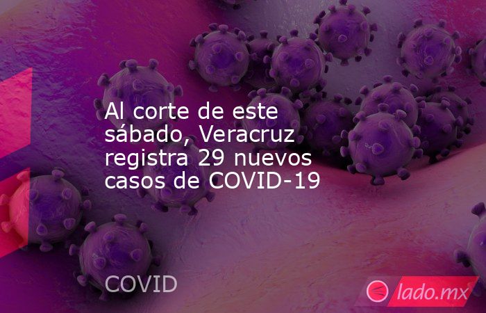 Al corte de este sábado, Veracruz registra 29 nuevos casos de COVID-19. Noticias en tiempo real