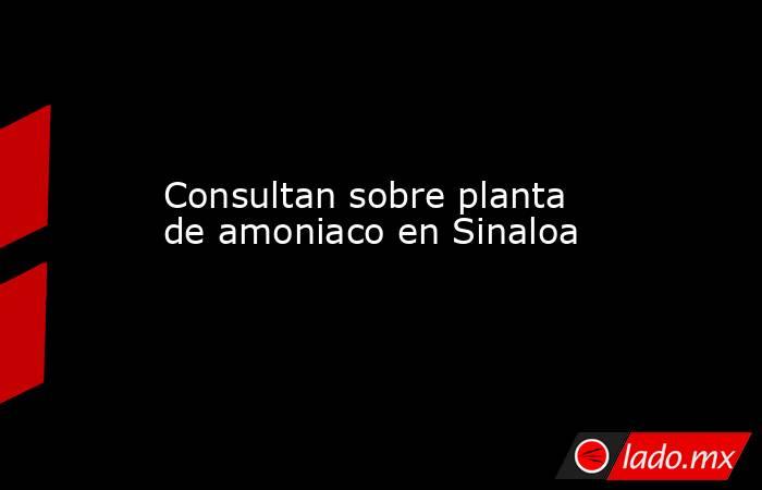Consultan sobre planta de amoniaco en Sinaloa. Noticias en tiempo real