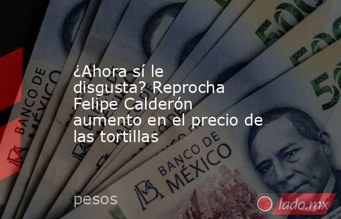 ¿Ahora sí le disgusta? Reprocha Felipe Calderón aumento en el precio de las tortillas . Noticias en tiempo real