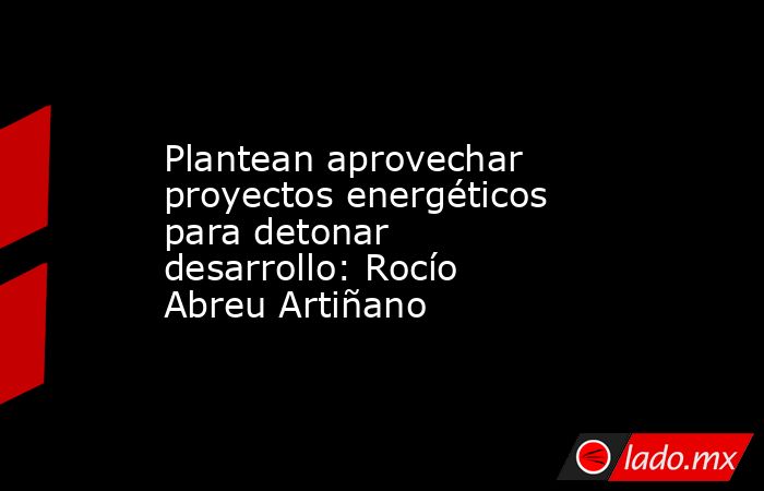 Plantean aprovechar proyectos energéticos para detonar desarrollo: Rocío Abreu Artiñano. Noticias en tiempo real