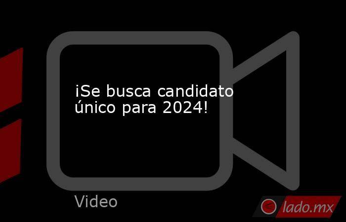¡Se busca candidato único para 2024!. Noticias en tiempo real