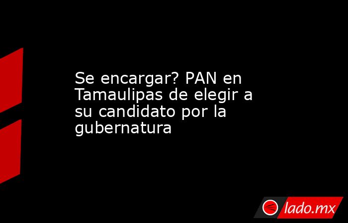 Se encargar? PAN en Tamaulipas de elegir a su candidato por la gubernatura. Noticias en tiempo real