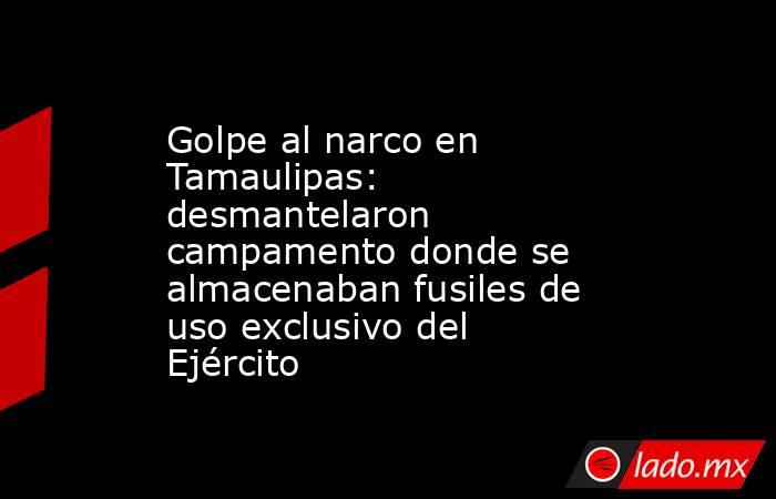 Golpe al narco en Tamaulipas: desmantelaron campamento donde se almacenaban fusiles de uso exclusivo del Ejército . Noticias en tiempo real