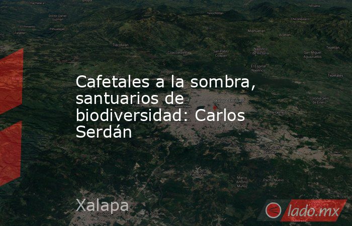 Cafetales a la sombra, santuarios de biodiversidad: Carlos Serdán . Noticias en tiempo real