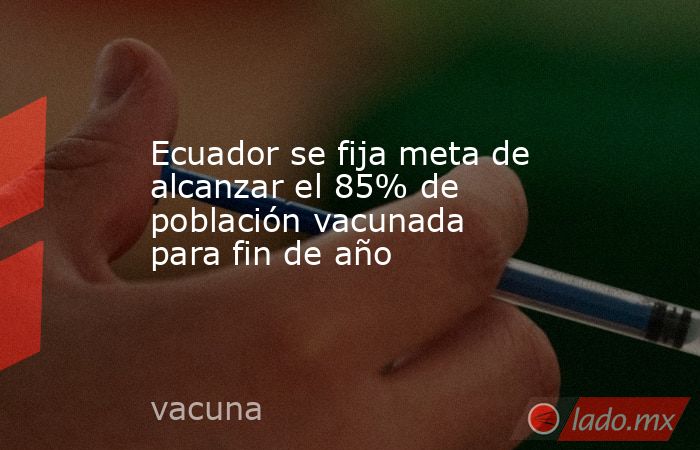 Ecuador se fija meta de alcanzar el 85% de población vacunada para fin de año. Noticias en tiempo real